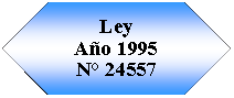 Preparacin: LeyAo 1995N 24557