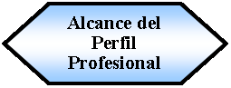 Preparacin: Alcance del Perfil Profesional