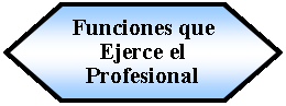 Preparacin: Funciones que Ejerce el Profesional 