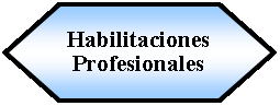 Preparacin: Habilitaciones Profesionales 