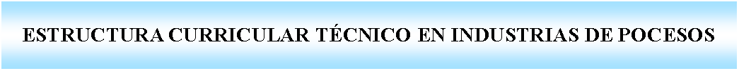 Cuadro de texto: ESTRUCTURA CURRICULAR TCNICO EN INDUSTRIAS DE POCESOS