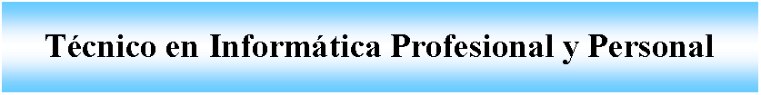 Cuadro de texto: Tcnico en Informtica Profesional y Personal