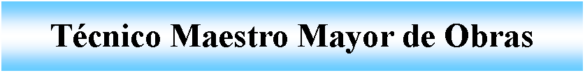Cuadro de texto: T�cnico Maestro Mayor de Obras 