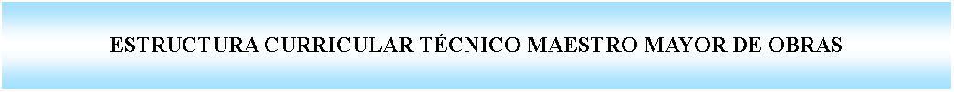 Cuadro de texto: ESTRUCTURA CURRICULAR T�CNICO MAESTRO MAYOR DE OBRAS