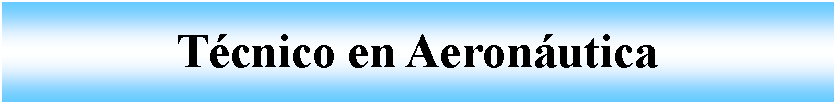 Cuadro de texto: Tcnico en Aeronutica 