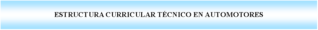 Cuadro de texto: ESTRUCTURA CURRICULAR TCNICO EN AUTOMOTORES