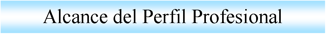 Cuadro de texto: Alcance del Perfil Profesional