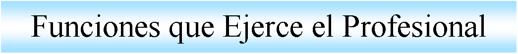 Cuadro de texto: Funciones que Ejerce el Profesional 
