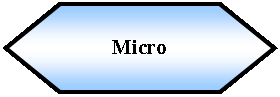 Preparacin: Micro