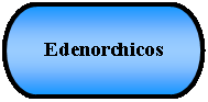 Terminador: Edenorchicos 