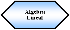 Preparacin: Algebra Lineal 