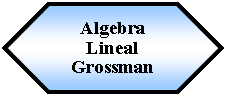 Preparacin: Algebra Lineal Grossman