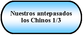 Terminador: Nuestros antepasados los Chinos 1/3