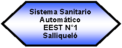 Preparacin: Sistema Sanitario Automtico EEST N1 Salliquel