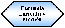 Preparacin: Economa Larroulet y Mochn 
