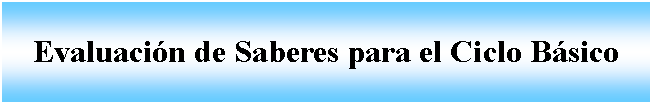 Cuadro de texto: Evaluación de Saberes para el Ciclo Básico 
