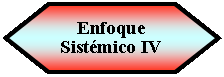 Preparacin: Enfoque Sistmico IV