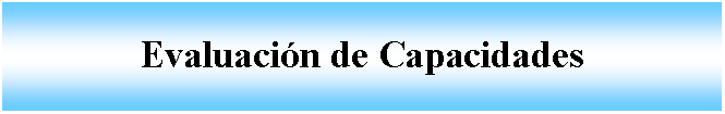 Cuadro de texto: Evaluacin de Capacidades