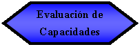 Preparacin: Evaluacin de Capacidades 