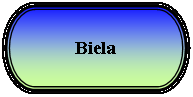 Terminador: Biela 