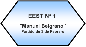 Preparacin: EEST N 1 "Manuel Belgrano"  Partido de 3 de Febrero
