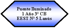 Preparacin: Puente Iluminado1 Ao 3 CBEEST N 5 Lans 