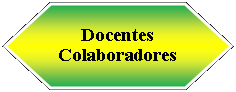 Preparacin: Docentes Colaboradores