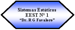 Preparacin: Sistemas EstticosEEST N 1Dr. R G Favaloro  