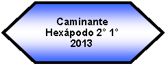 Preparacin: Caminante Hexpodo 2 1 2013