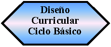 Preparacin: Diseo Curricular Ciclo Bsico