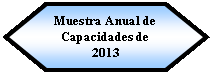 Preparacin: Muestra Anual de Capacidades de 2013