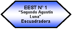 Preparacin: EEST N 1 Segundo Agustn LunaEscuadradora 