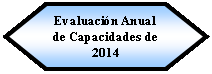 Preparacin: Evaluacin Anual de Capacidades de 2014