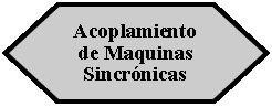 Preparacin: Acoplamiento de Maquinas Sincrnicas 