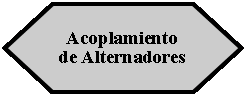 Preparacin: Acoplamiento de Alternadores 