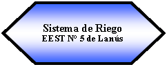 Preparacin: Sistema de Riego EEST N 5 de Lans 