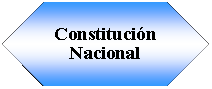 Preparacin: Constitucin Nacional  