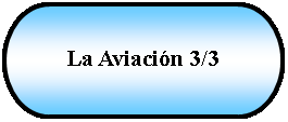 Terminador: La Aviacin 3/3 