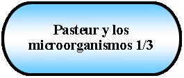 Terminador: Pasteur y los microorganismos 1/3