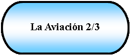 Terminador: La Aviacin 2/3 