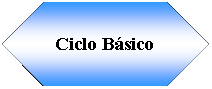 Preparacin: Ciclo Bsico 