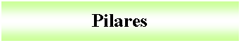 Cuadro de texto: Pilares 