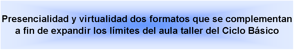 Cuadro de texto: Presencialidad y virtualidad dos formatos que se complementan a fin de expandir los lmites del aula taller del Ciclo Bsico 