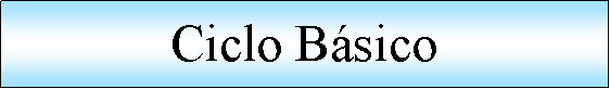 Proceso: Ciclo Bsico