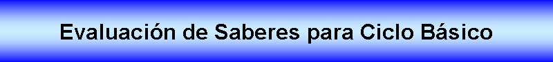 Cuadro de texto: Evaluacin de Saberes para Ciclo Bsico 