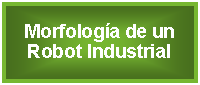 Cuadro de texto: Morfologa de un Robot Industrial 