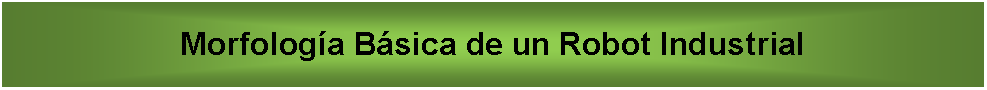 Cuadro de texto: Morfolog�a B�sica de un Robot Industrial 