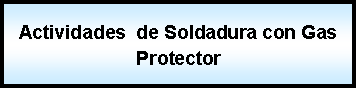 Proceso: Actividades  de Soldadura con Gas Protector