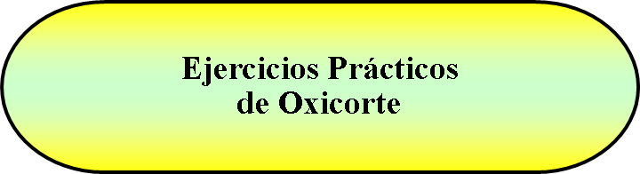 Terminador: Ejercicios Prcticos de Oxicorte