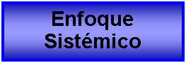 Cuadro de texto: Enfoque Sistmico 